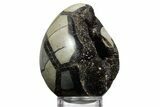 Septarian Dragon Egg Geode - Sparkly Black Crystals #356147-2